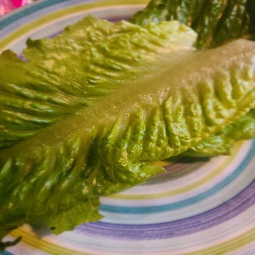 Lettuce with centers removed for stacking